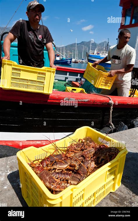 Lobster Peninsula goes Back to the Future.